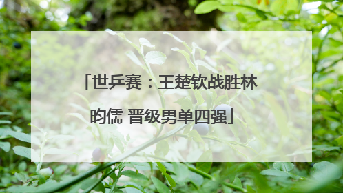 世乒赛：王楚钦战胜林昀儒 晋级男单四强