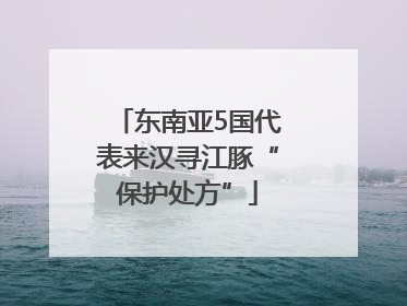 东南亚5国代表来汉寻江豚“保护处方”
