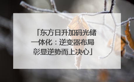 东方日升加码光储一体化：逆变器布局彰显逆势而上决心