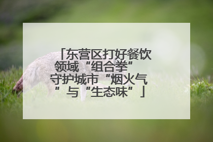 东营区打好餐饮领域“组合拳” 守护城市“烟火气”与“生态味”