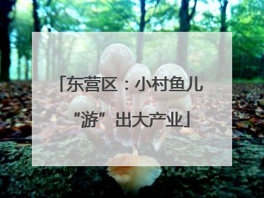 东营区：小村鱼儿“游”出大产业