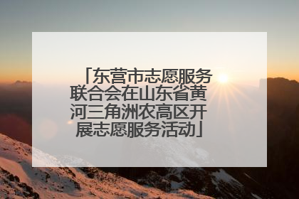 东营市志愿服务联合会在山东省黄河三角洲农高区开展志愿服务活动