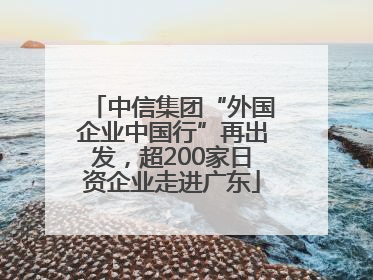 中信集团“外国企业中国行”再出发，超200家日资企业走进广东