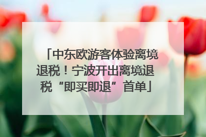 中东欧游客体验离境退税！宁波开出离境退税“即买即退”首单