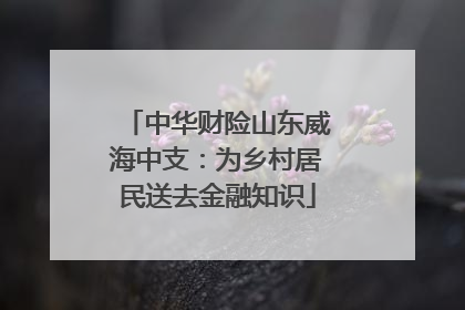中华财险山东威海中支：为乡村居民送去金融知识