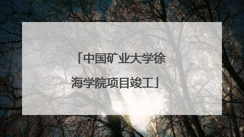 中国矿业大学徐海学院项目竣工