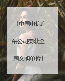 中国电信广东公司荣获全国文明单位
