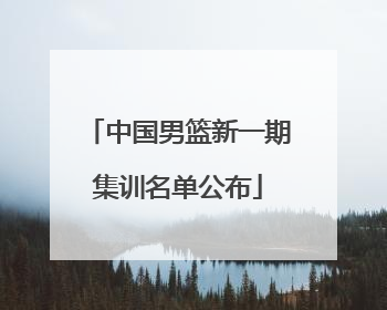 中国男篮新一期集训名单公布
