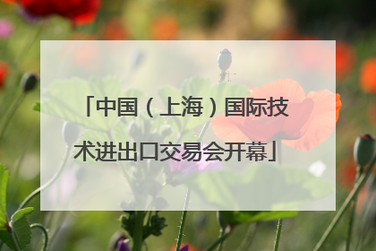 中国（上海）国际技术进出口交易会开幕