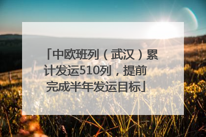 中欧班列（武汉）累计发运510列，提前完成半年发运目标