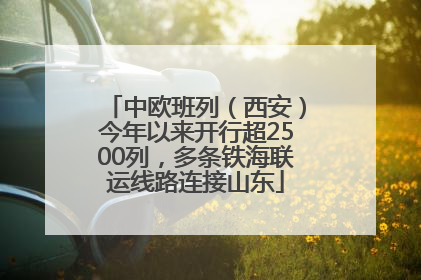 中欧班列（西安）今年以来开行超2500列，多条铁海联运线路连接山东