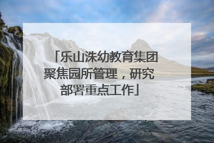 乐山洙幼教育集团聚焦园所管理，研究部署重点工作