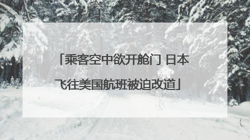 乘客空中欲开舱门 日本飞往美国航班被迫改道
