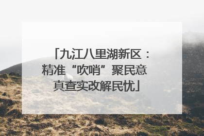 九江八里湖新区：精准“吹哨”聚民意 真查实改解民忧