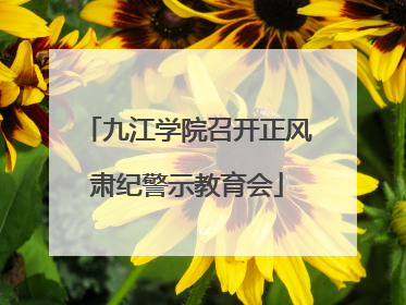 九江学院召开正风肃纪警示教育会