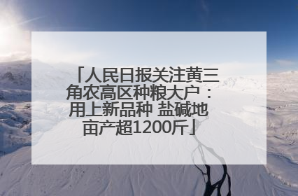 人民日报关注黄三角农高区种粮大户：用上新品种 盐碱地亩产超1200斤