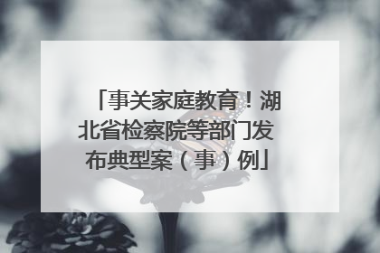 事关家庭教育！湖北省检察院等部门发布典型案（事）例