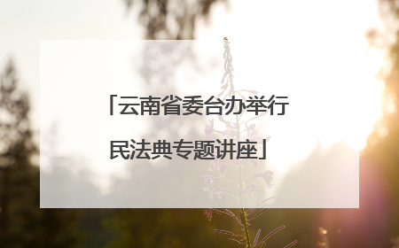 云南省委台办举行民法典专题讲座
