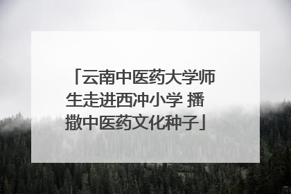 云南中医药大学师生走进西冲小学 播撒中医药文化种子