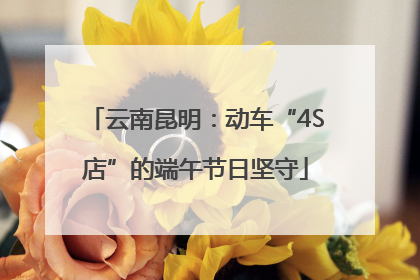 云南昆明：动车“4S店”的端午节日坚守