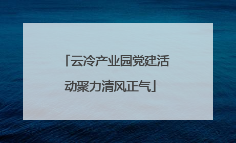 云冷产业园党建活动聚力清风正气