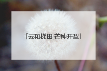 云和梯田 芒种开犁