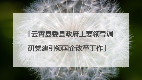 云霄县委县政府主要领导调研党建引领国企改革工作