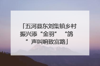 五河县东刘集镇乡村振兴添“金羽” “鸽”声叫响致富路