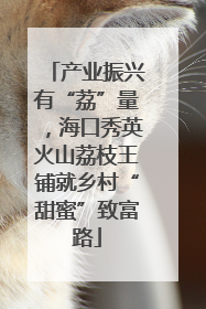 产业振兴有“荔”量，海口秀英火山荔枝王铺就乡村“甜蜜”致富路