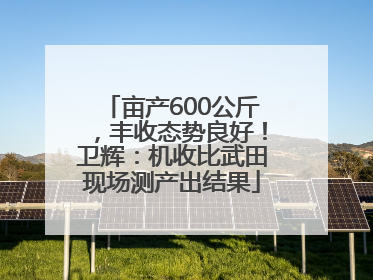 亩产600公斤，丰收态势良好！卫辉：机收比武田现场测产出结果