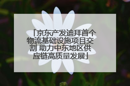 京东产发迪拜首个物流基础设施项目交割 助力中东地区供应链高质量发展
