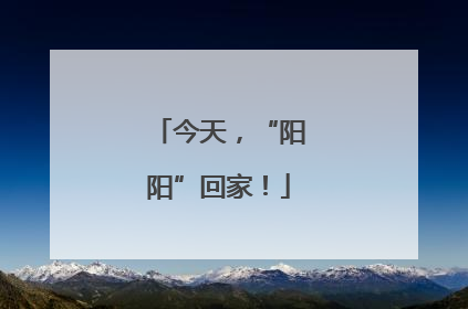 今天，“阳阳”回家！