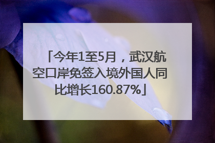 今年1至5月，武汉航空口岸免签入境外国人同比增长160.87%