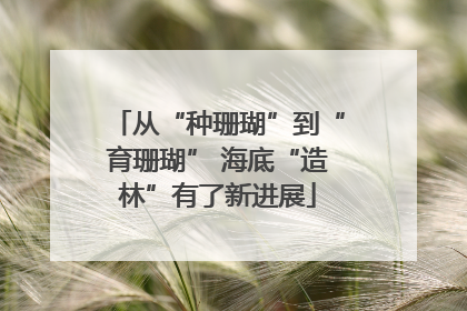 从“种珊瑚”到“育珊瑚” 海底“造林”有了新进展