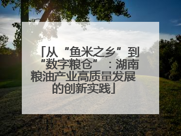 从“鱼米之乡”到“数字粮仓”：湖南粮油产业高质量发展的创新实践