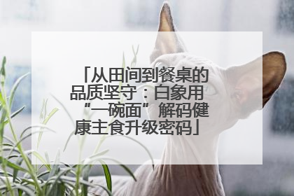 从田间到餐桌的品质坚守：白象用“一碗面”解码健康主食升级密码