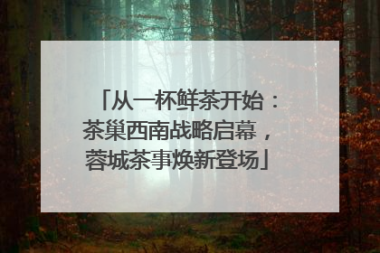 从一杯鲜茶开始：茶巢西南战略启幕，蓉城茶事焕新登场