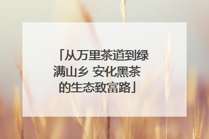 从万里茶道到绿满山乡 安化黑茶的生态致富路