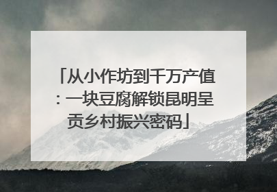 从小作坊到千万产值：一块豆腐解锁昆明呈贡乡村振兴密码