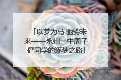 以梦为马 驰骋未来——永州一中周子俨同学的逐梦之路
