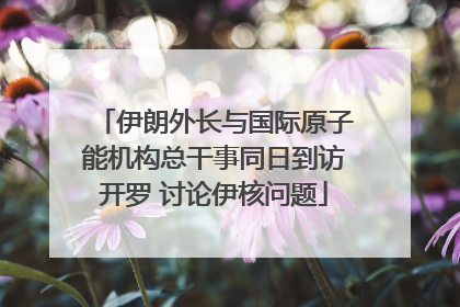 伊朗外长与国际原子能机构总干事同日到访开罗 讨论伊核问题