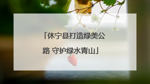 休宁县打造绿美公路 守护绿水青山