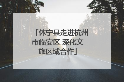 休宁县走进杭州市临安区 深化文旅区域合作
