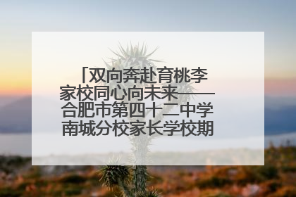 双向奔赴育桃李 家校同心向未来——合肥市第四十二中学南城分校家长学校期末总结会圆满召开