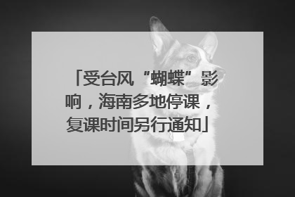 受台风“蝴蝶”影响，海南多地停课，复课时间另行通知
