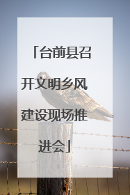 台前县召开文明乡风建设现场推进会