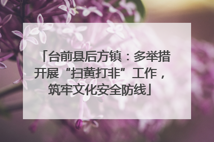 台前县后方镇：多举措开展“扫黄打非”工作，筑牢文化安全防线