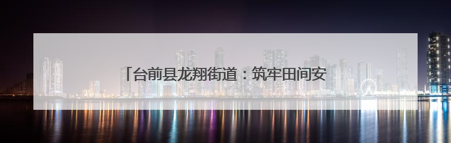 台前县龙翔街道：筑牢田间安全防线 守护农耕家园平安
