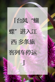 台风“蝴蝶”进入江西 多条旅客列车停运