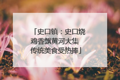 史口镇：史口烧鸡香飘黄河大集 传统美食受热捧